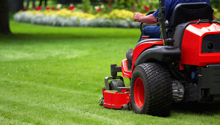 Why Pay More? Landscaping Prices